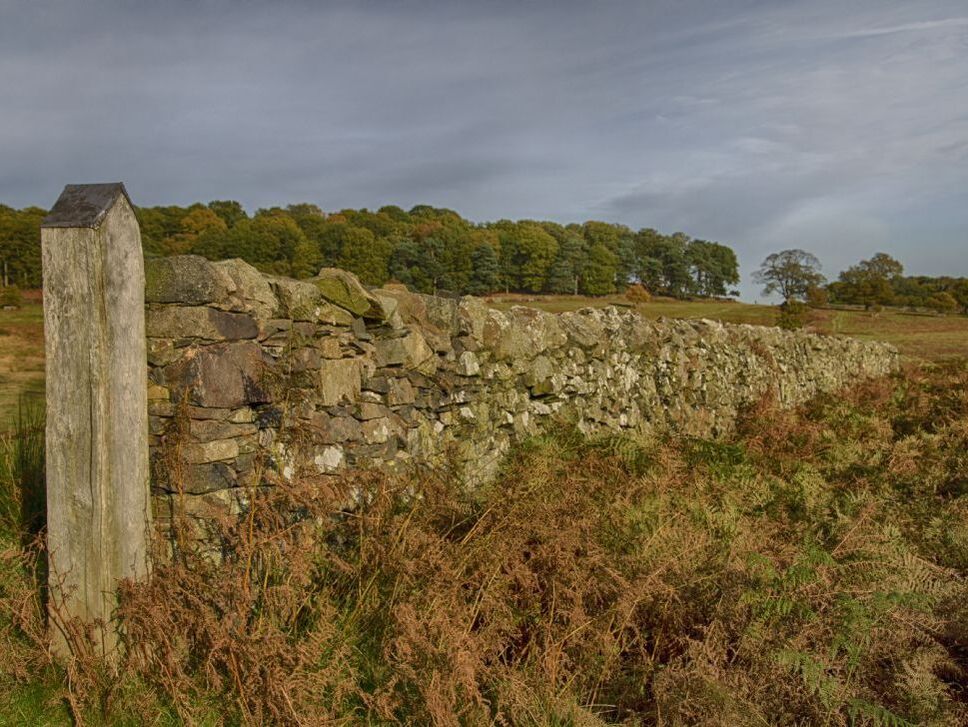 a drystone wall in autumn moorland