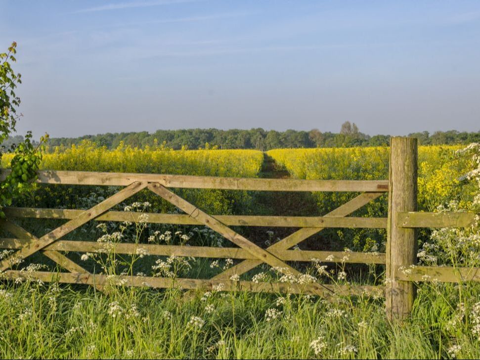 Five-bar gate in farmland, Derbyshire