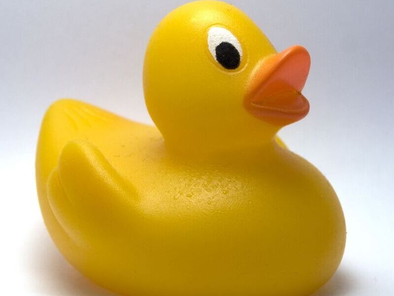 bright yellow bath duck