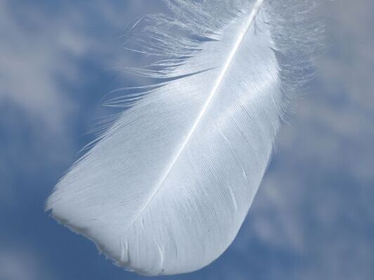 Single white feather against blue sky