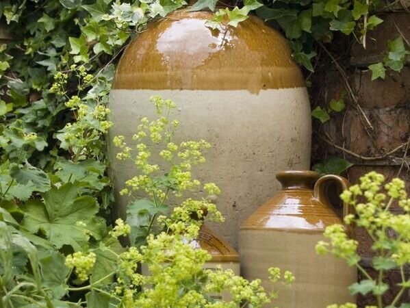 Three earthenware jars in a garden