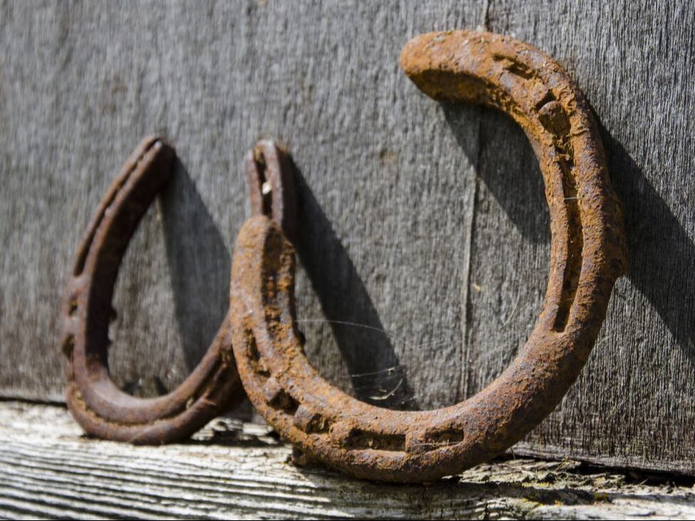 two horseshoes on wooden planking