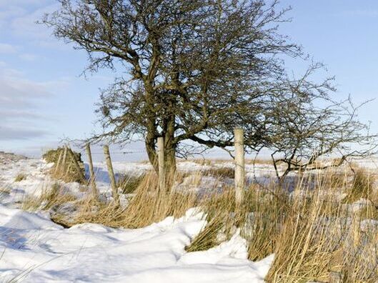 Peak District Derbyshire in winter