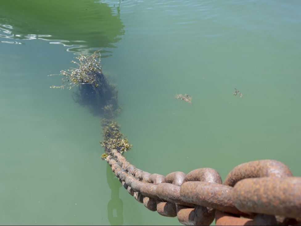 anchor chain in water