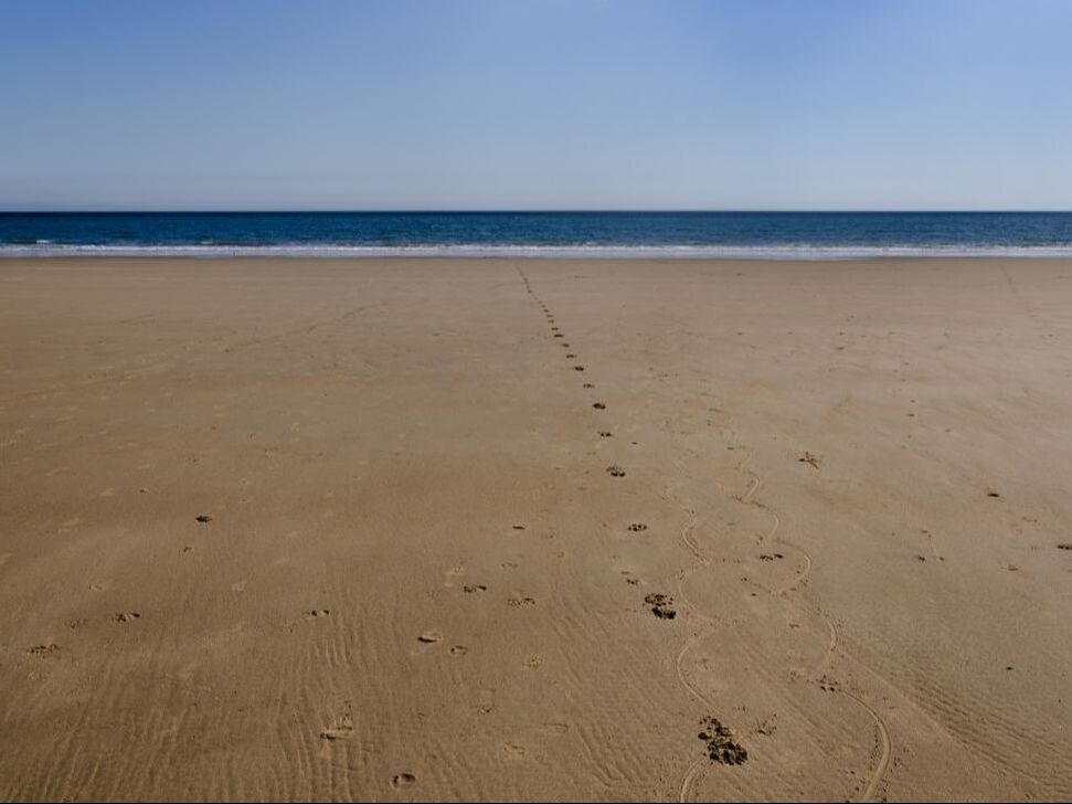 footprints in sand on beach