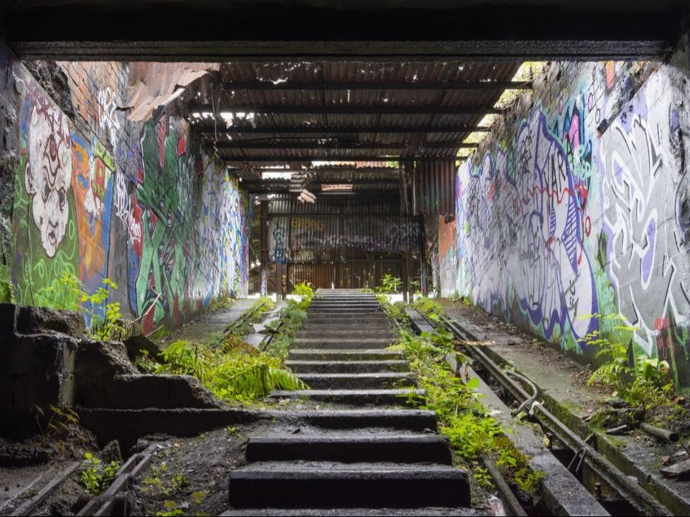 Farleigh Sidings, abandoned