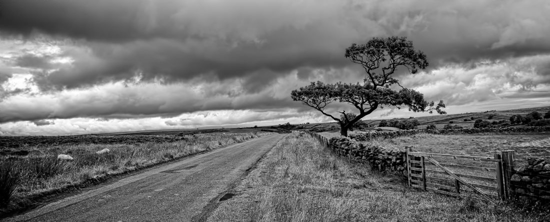 Yorkshire moors road
